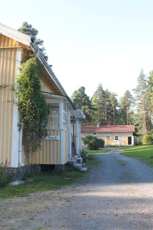B&B Pinus Mäntyharju Exterior foto